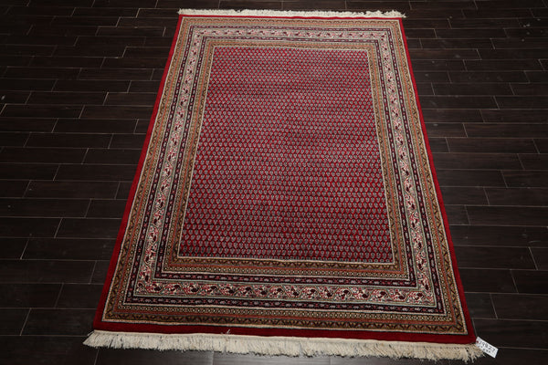 6x9 Red, Ivory, Aqua Color Hand Knotted Boteh Wool Traditional Oriental Rug