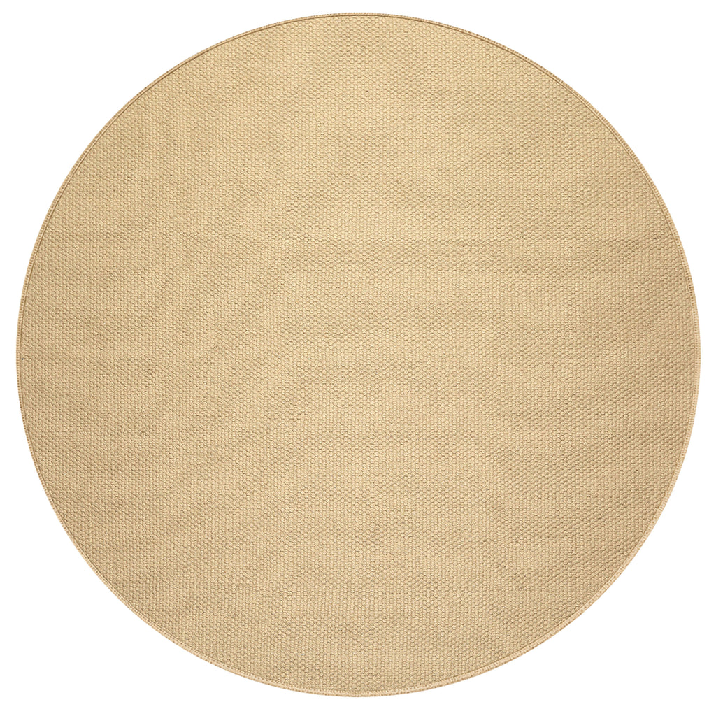 Multi Size Sisal Color Hand Loomed  Wool Contemporary Oriental Rug