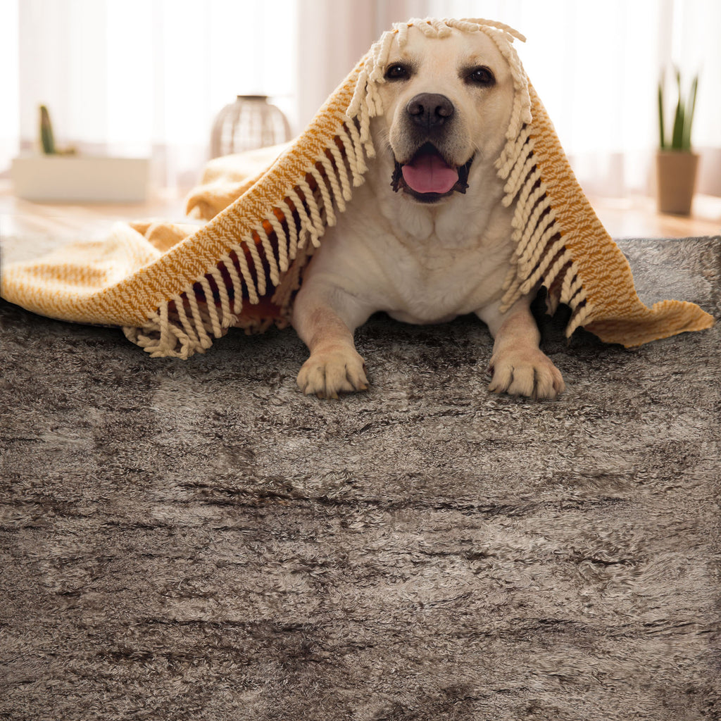 Square Brown, , Color Machine Made Shag Polyster Contemporary Oriental Rug